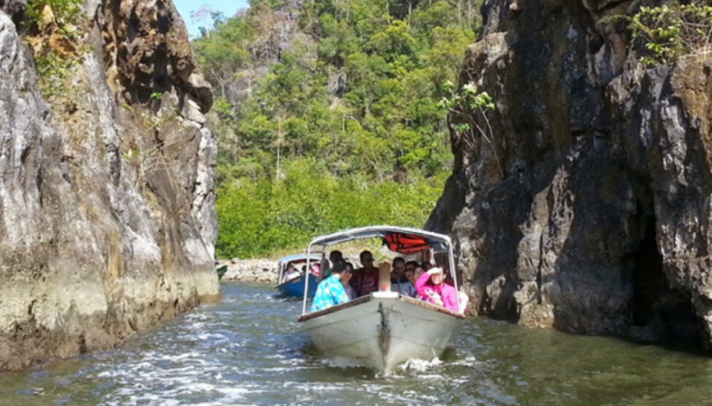 langkawi to mangrove tour